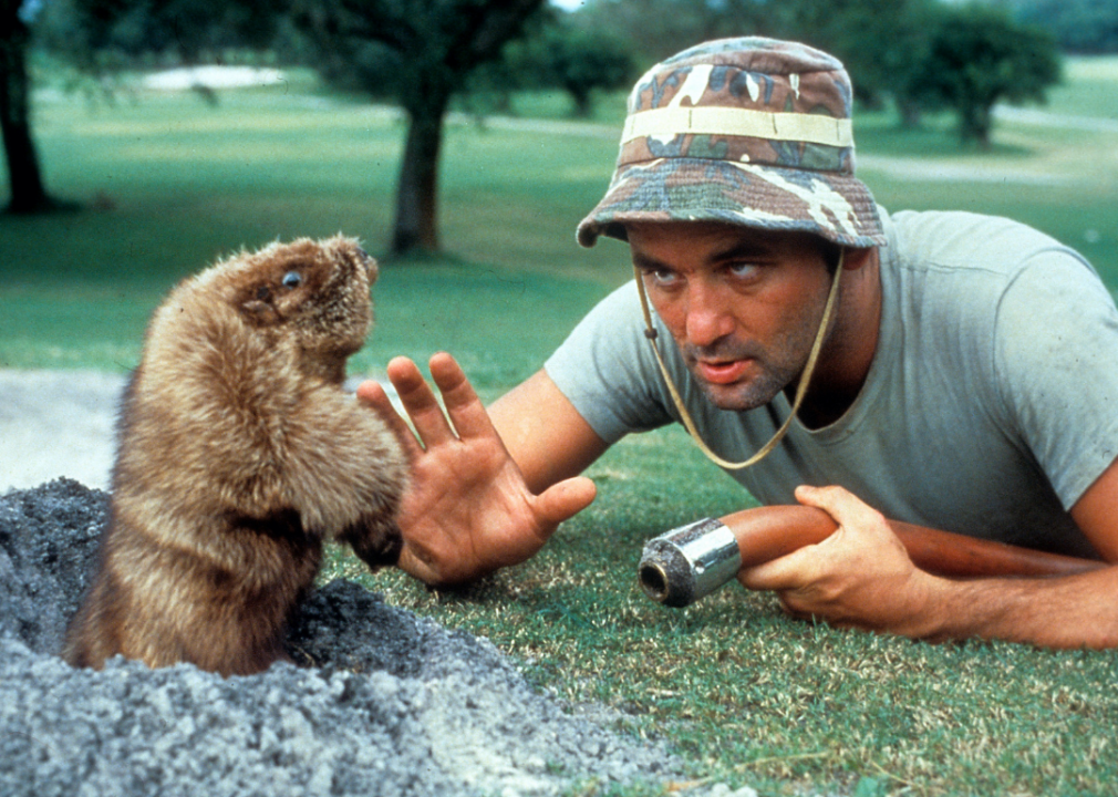15 new movies you can stream right now